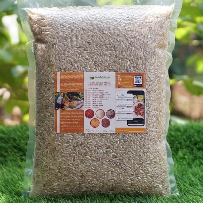 

Pilihan- Beras Cokelat Kaya Serat Fresh Langsung Dari Petani (2Kg - Grosir)