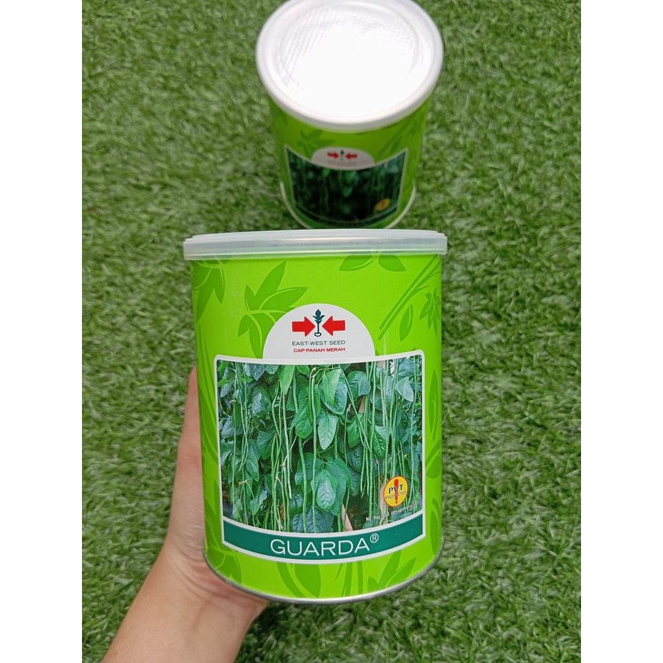 Benih Kacang Panjang GARDA/GUARDA 500gram