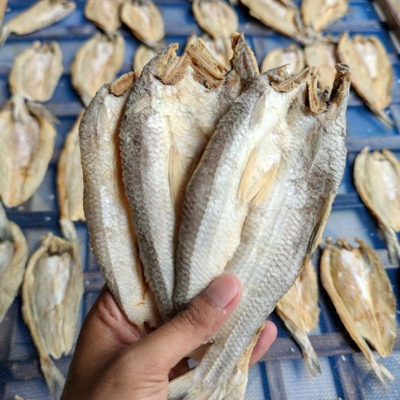 

Ikan Asin Gabus Laut 500gr