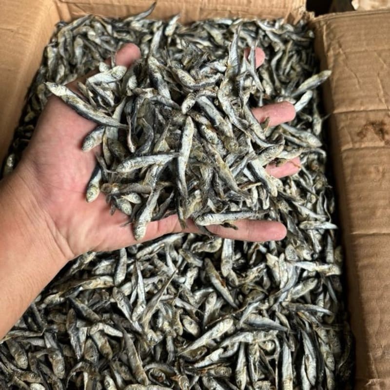 

Teri Batu / Teri Semenit / Teri Hitam 250gr