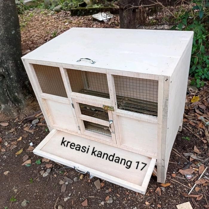 kandang anak ayam / kandang doc