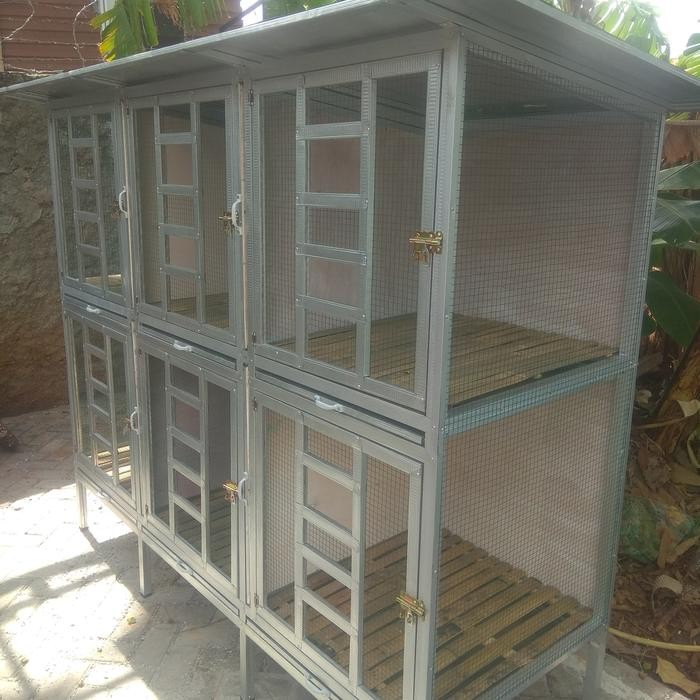 kandang ayam Bangkok ayam hias