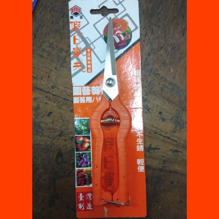 GUNTING DAHAN BONSAI