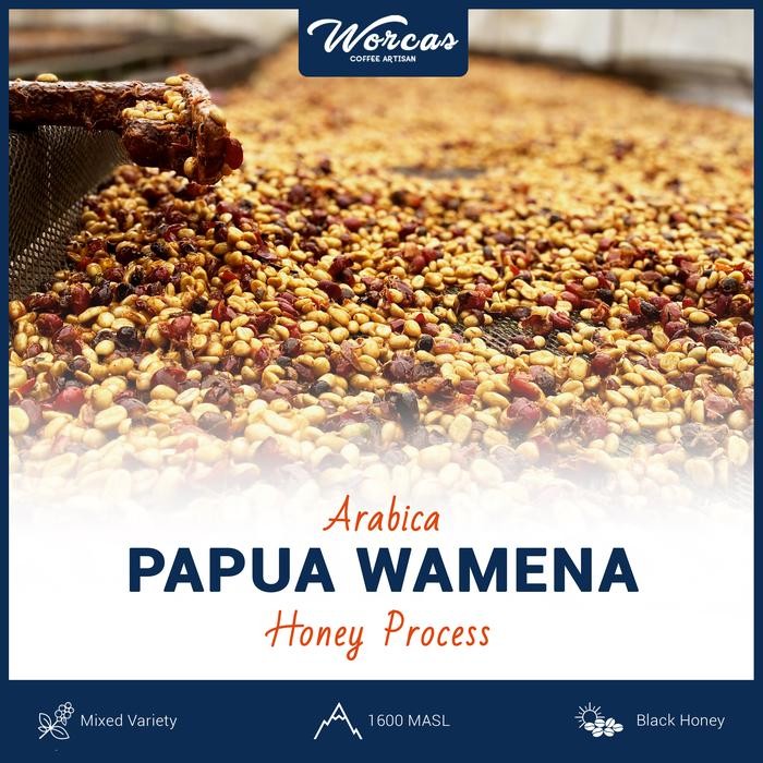 

Green Bean Arabica Papua Wamena Honey Process 1Kg (Biji Kopi Mentah)