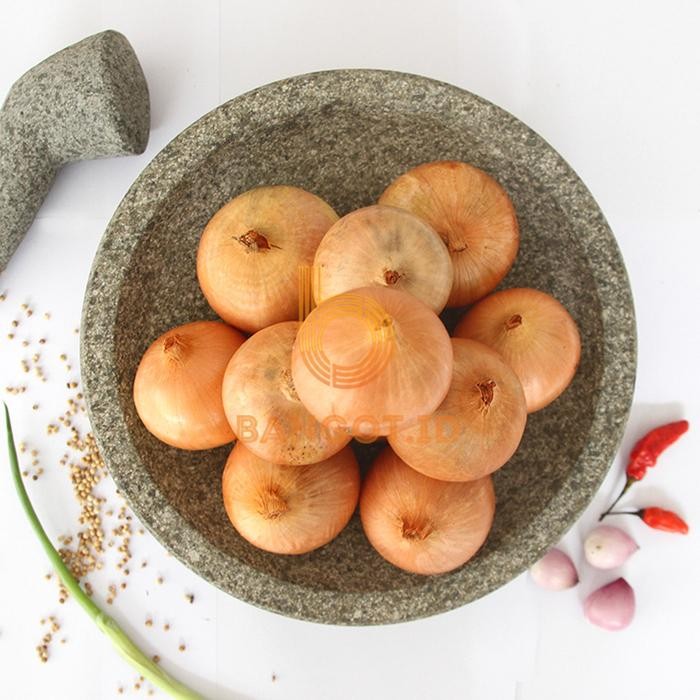 

Bawang Bombay Fresh 1 kg Kecil ukuran 50: 60 New Zealand Terlaris