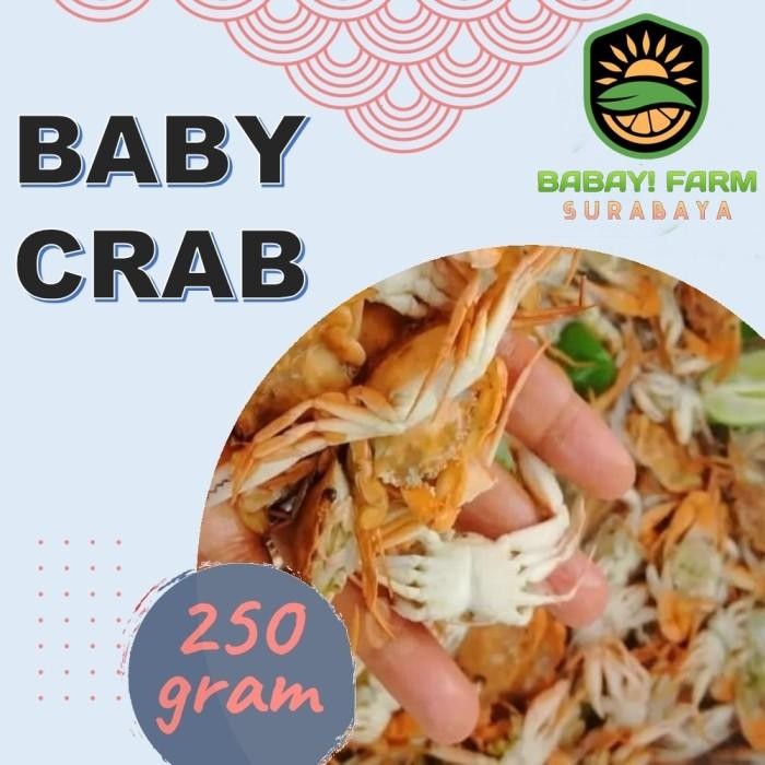 

(Expert) Baby Crab / Bayi Kepiting