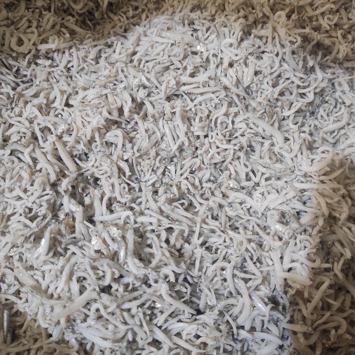 

Ikan Asin Kering Teri Medan Putih Halus Kualitas Super 500 Gram