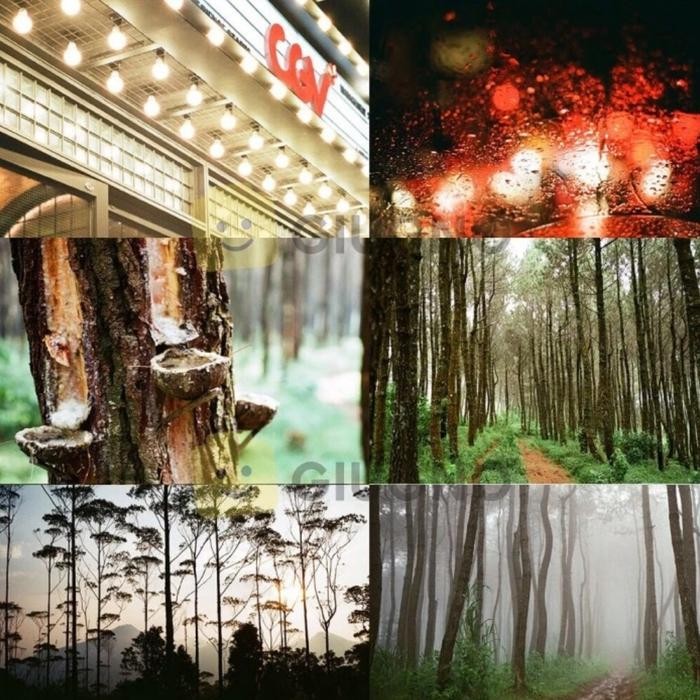 Fujifilm fuji c200 - roll film 35mm fujicolor