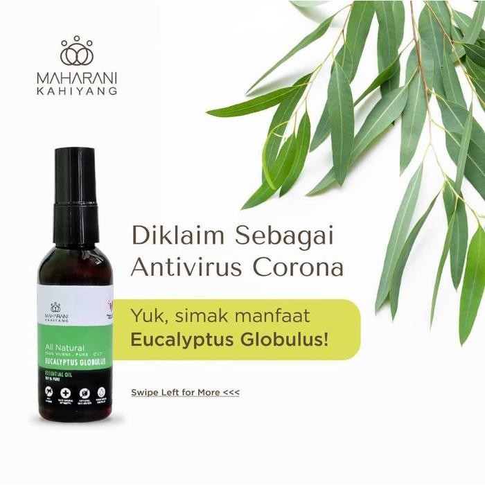 Eucalyptus Globulus 60ml Maharani Kahiyang Essential Oil