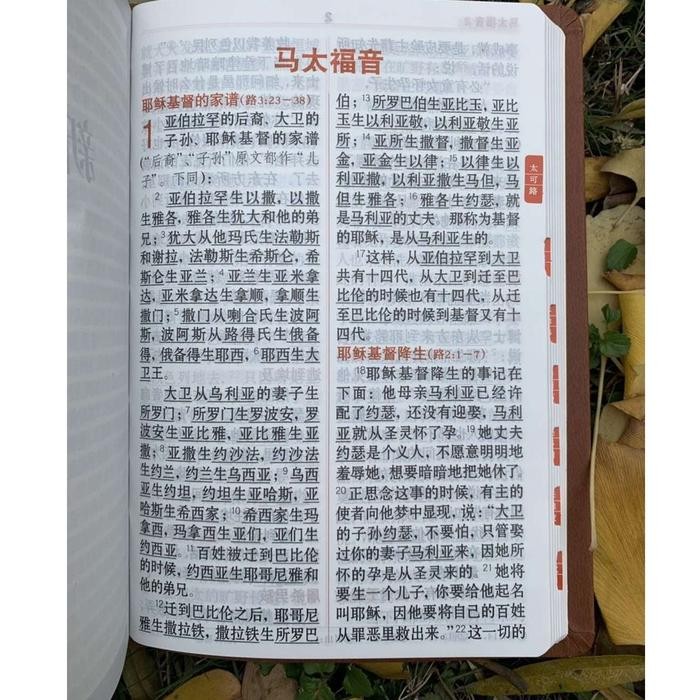 Alkitab Mandarin Tulisan besar/Chinese Bible / Brown Cover