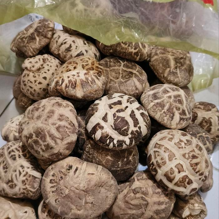 

PREMIUM JAMUR SHITAKE KERING JUMBO TEBAL / JAMUR PAYUNG / HIOKO / SIANG KU