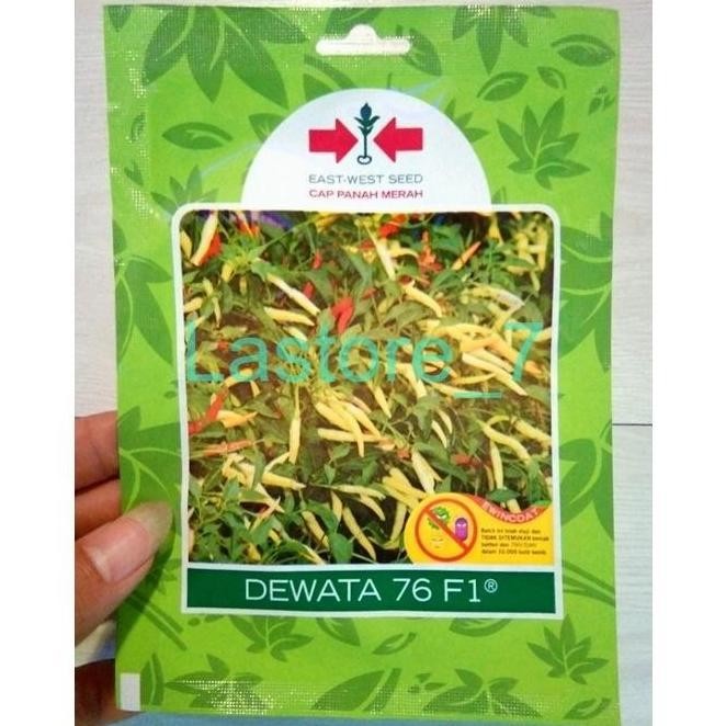 Terlaris New Benih Bibit Cabe Rawit Setan Dewata 76 F1 Cap Panah Merah
