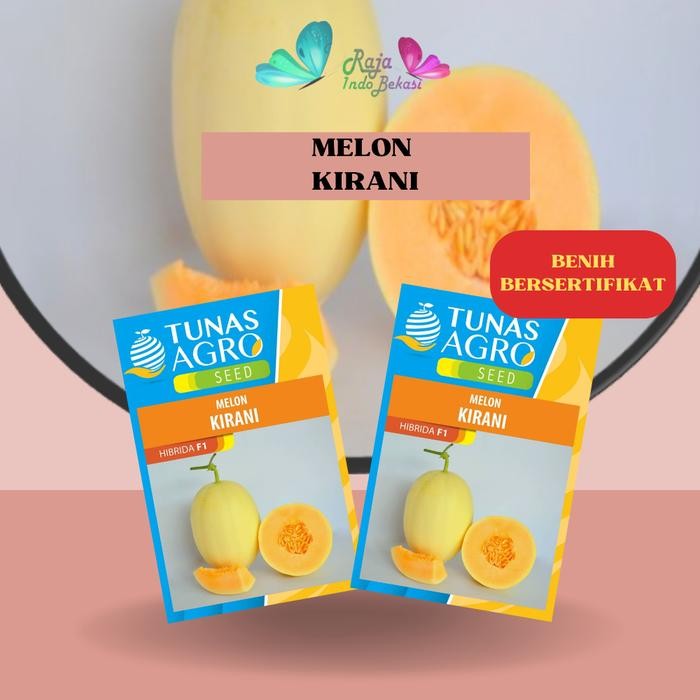 [Sp] Biji Benih Melon Kirani F1 Ori - Repack 10 & 50 Bibit Melon Premium Jepang