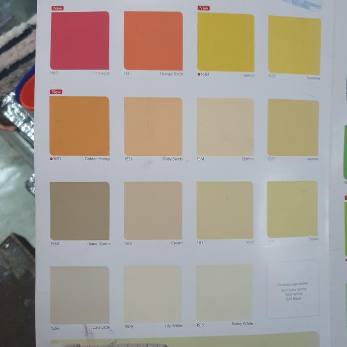 Cat QLUC Nippon Paint 5 Kg