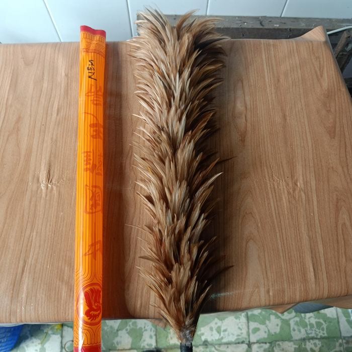 Kemoceng /Bulu Ayam Asli