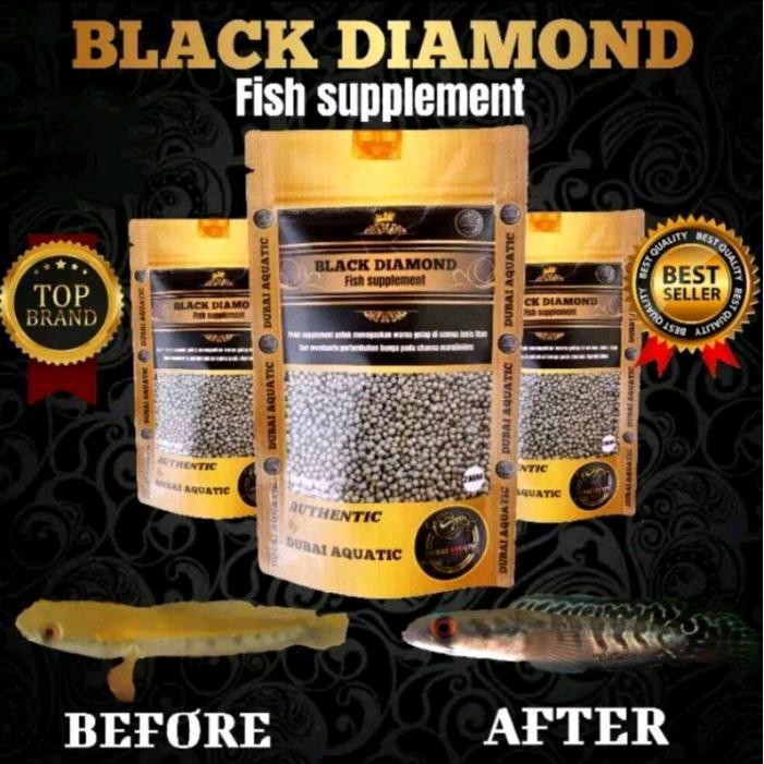 PELET BLACK DIAMOND MEMPERTEGAS BAR MENAIKAN BUNGA PADA MARU BY DUBAI AQUATIC