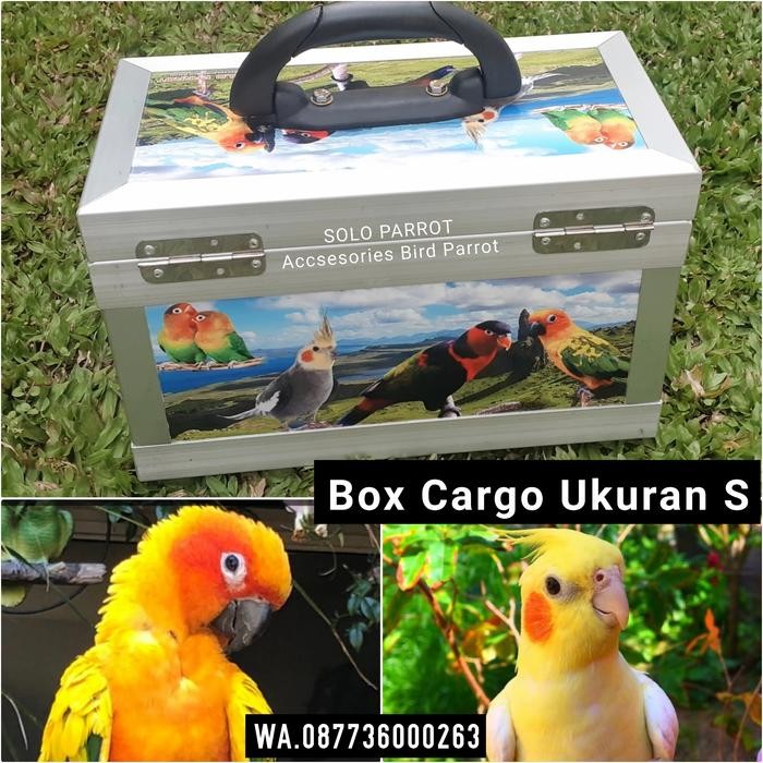 Pet Box Cargo untuk Burung Parrot ukuran S