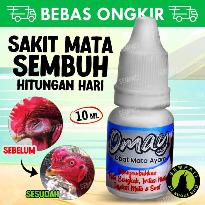 Omay Obat Sakit Mata Ayam 10ml Obat Tetes Mata Ayam Jago Laga Aduan Petarung Jantan Bangkok Ternak