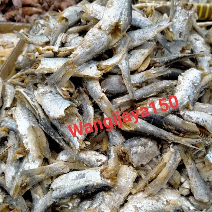 

ikan japu/ ikan sampah daging 1 kg