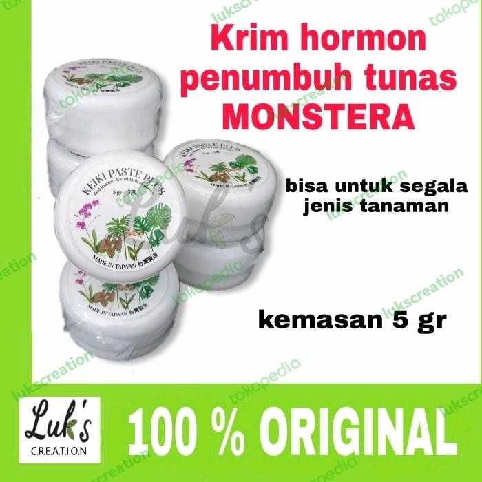 Keiki Paste Plus hormon tunas monstera philodendron anggrek aglonema