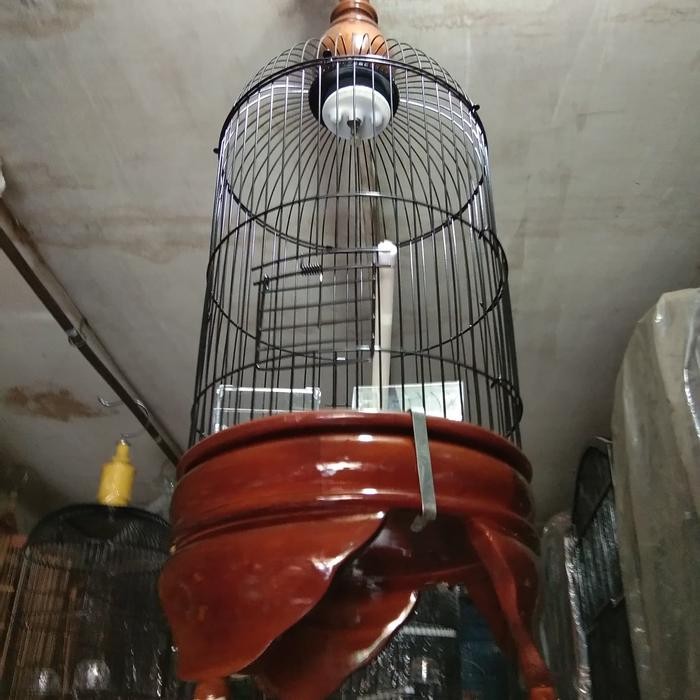 Tebok pleci colibri kayu