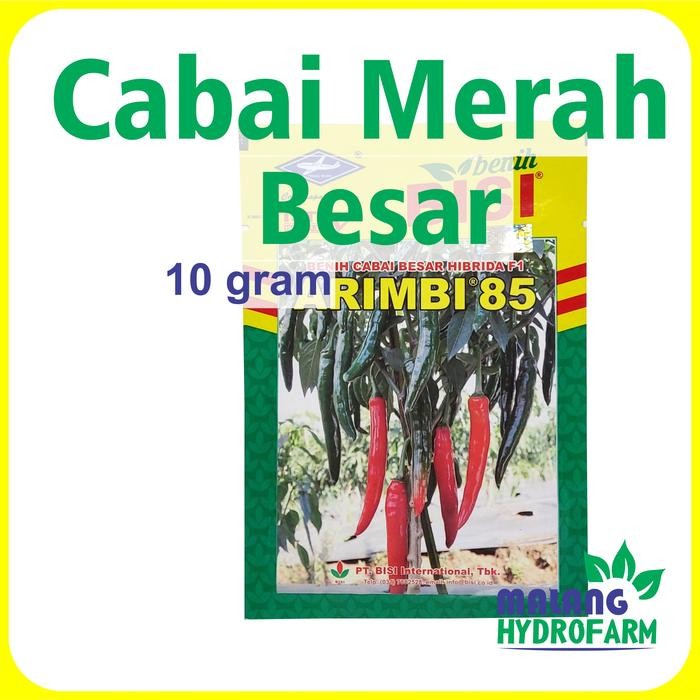 Benih Cabai Besar Arimbi 85 10 gram Cap Kapal Terbang merah hijau
