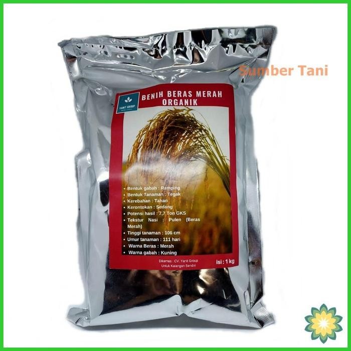 Benih Padi Unggul Beras Merah