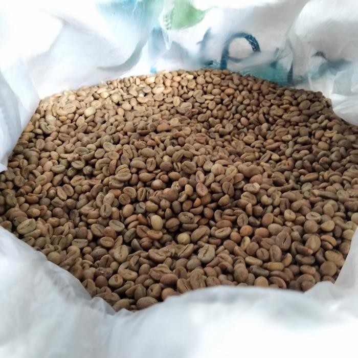 

KOPI ROBUSTA PAGAR ALAM 1 KG (GREEN BEAN)