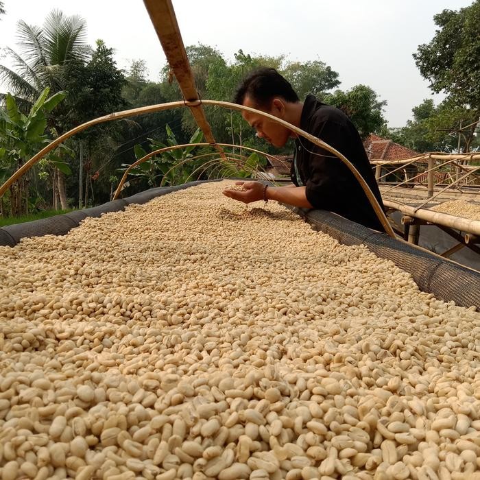

GREEN BEAN / BIJI KOPI ARABIKA MANDAILING FULL WASH/GREENBEAN DRYHULL