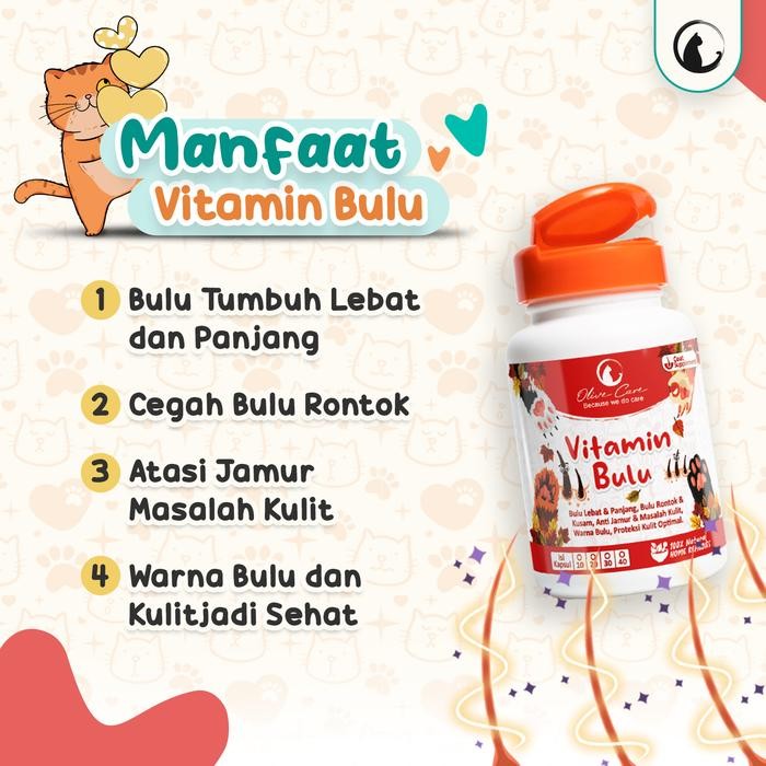 Olive Care Vitamin Kucing BULU Lebat Panjang Cegah Jamur & Bulu Rontok