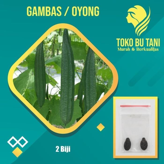 Bibit Sayuran Benih Sayur Paket Lengkap Tanaman Hidroponik Kangkung