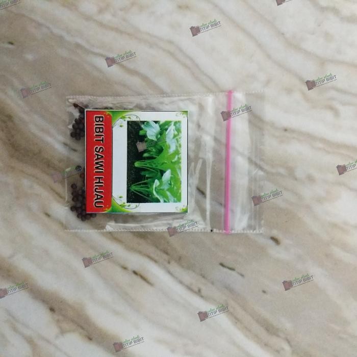 Bibit Sayur Hidroponik Sawi Hijau Super