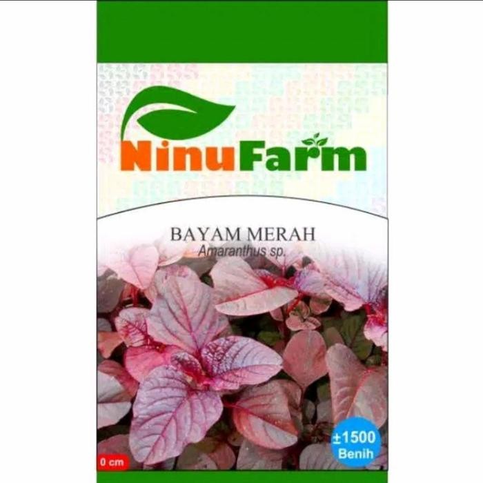 Benih Bibit Bayam Merah / Bibit Sayur Bayam Hidroponik
