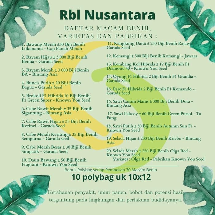 Bibit Sayuran Benih Biji Sayur Paket Lengkap Hidroponik Kangkung