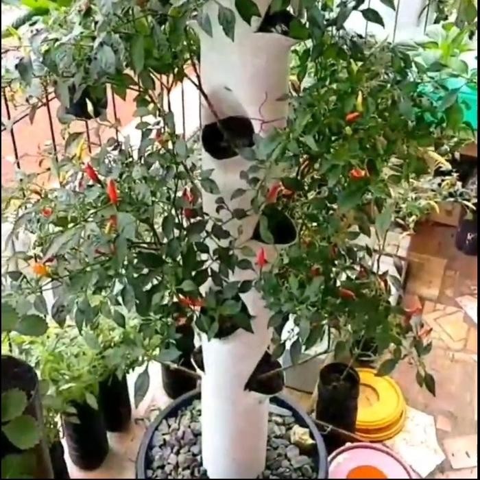 Pipa Hidroponik Vertikal Vertikultur 32 Lubang Tanam Free Netpot Putih