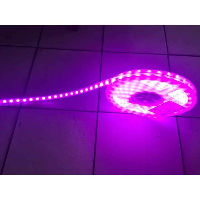 Led Strip Hiled Outdoor Ungu/Pink 12V