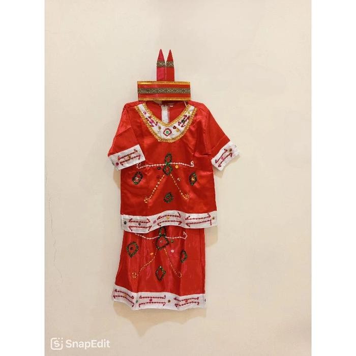 Baju Adat Dayak Kalimantan Tengah Anak Tk Sd Laki Perempuan Cewek Cowok / Baju Adat Kalimantan
