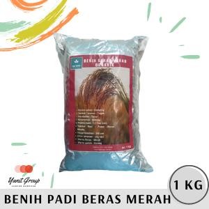 Benih Padi Unggul Beras Merah