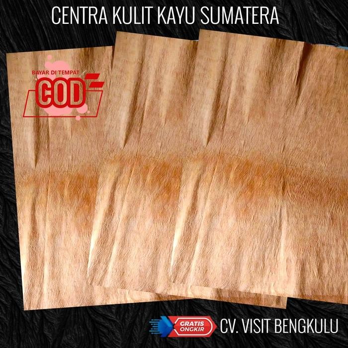 PREMIUM KULIT KAYU LANTUNG SUPER KELAS A 1X1m / KULIT KAYU LEMBARAN SUMATERA