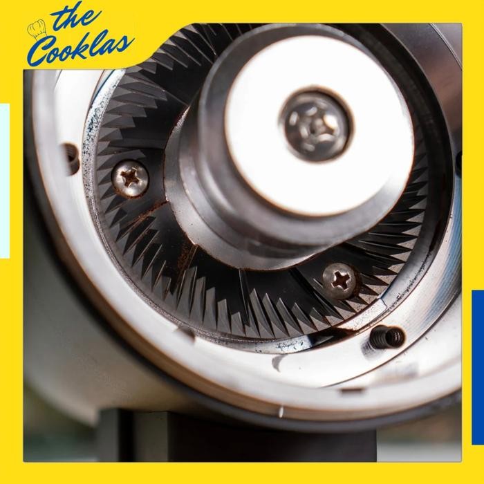 (Expert) Electric Coffee Grinder DF83V DCL BURR Mesin Grinder Biji Kopi