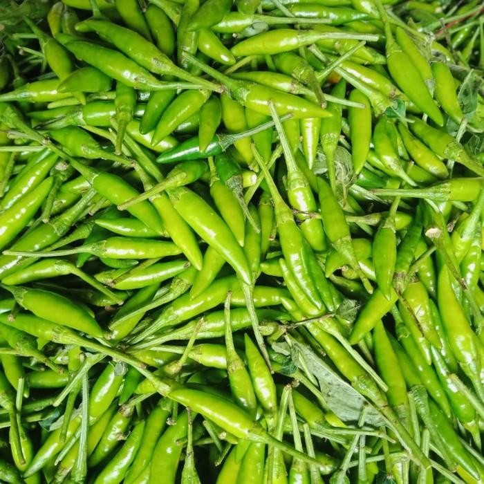 

(Allthebest) Cabe Rawit ijo 1 kg fresh Cabai Rawet Lombok 1Kg langsung Dari Petani