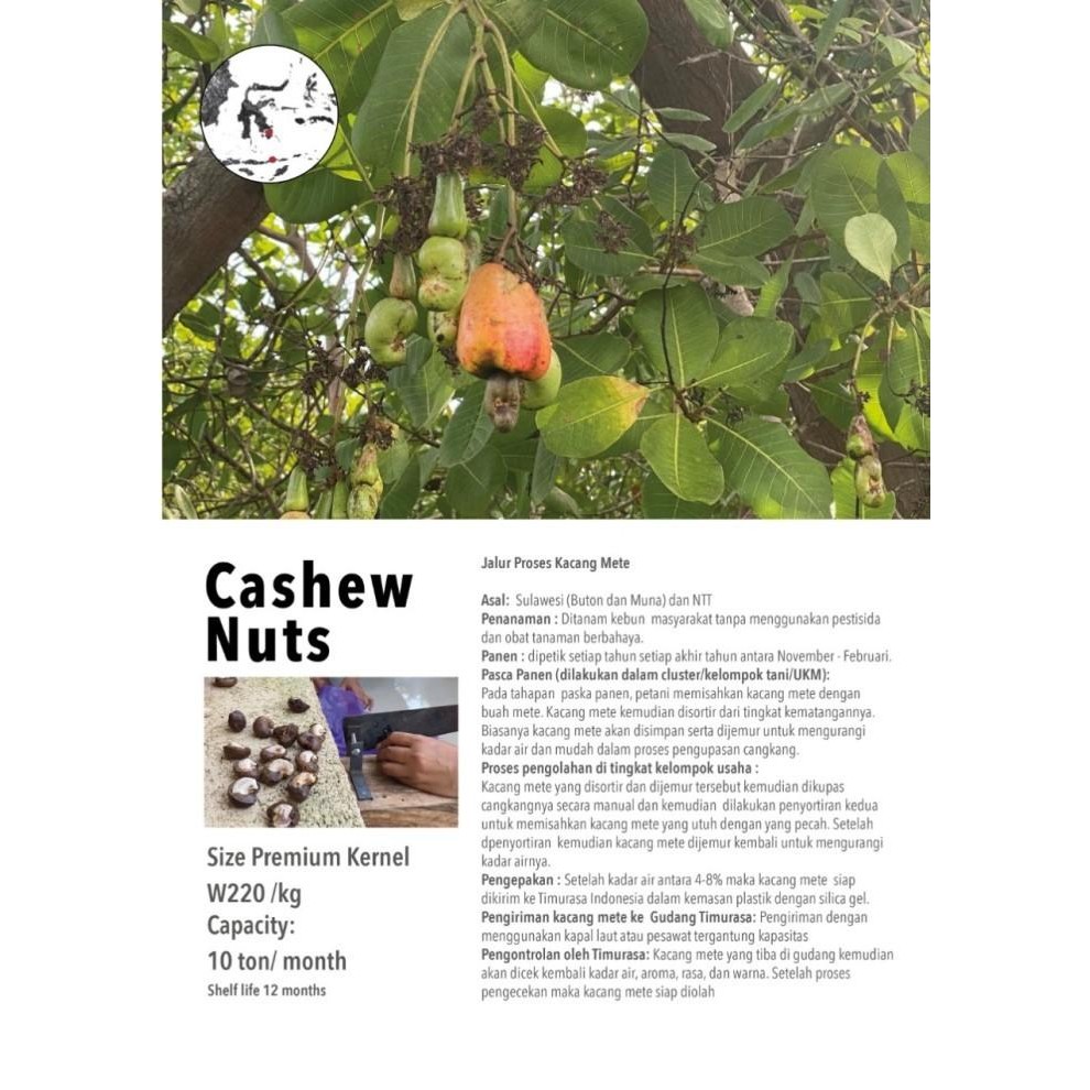 

Timurasa, Roasted Cashew Nuts (Kacang Mete Utuh Panggang) 500Gr