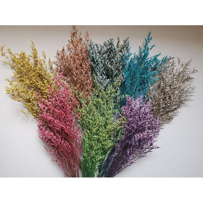 BEST SELLER Preserved caspea flower per Pack/ bunga caspea impor per Pack