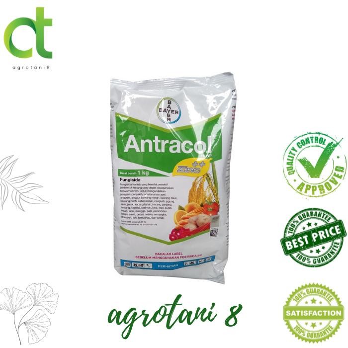 FUNGISIDA Antracol 250gr - Antracol Fungisida Kemasan Pabrik