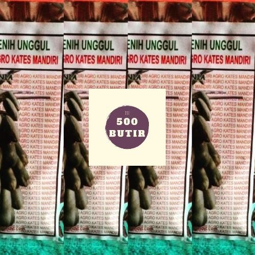 Bibit pepaya california ipb9