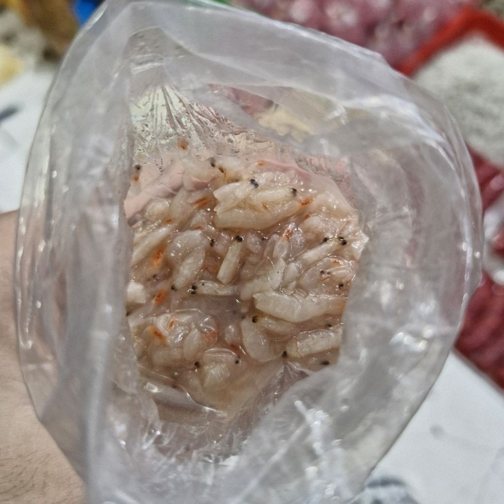 

HA KOI 170 Gram / HAKOI Putih (tidak berwarna) / HEKOI / HE KOI / CINCALOK UDANG / CENCALOK UDANG 170 Gram / Fermentasi Udang Putih / Hakoi Khas Kalimantan