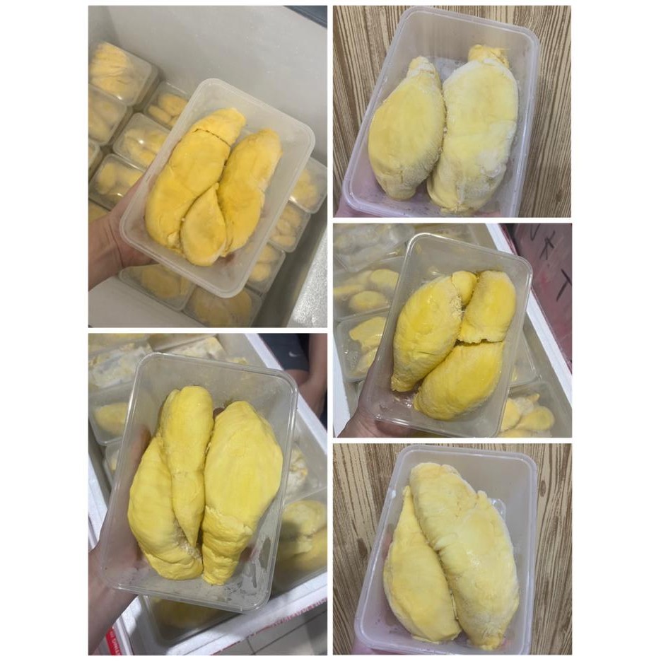

Glx DUREN MONTONG PALU / durian monthong -+500gr