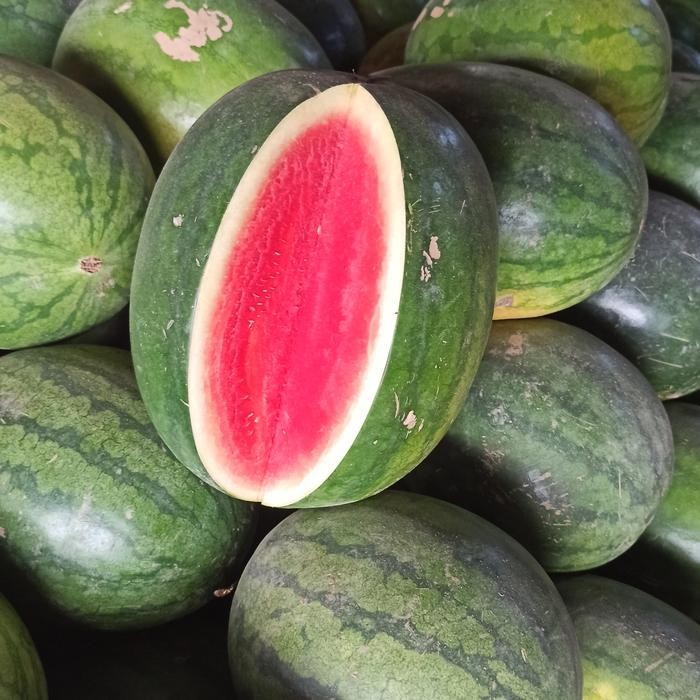 

Glx Semangka Merah Non Biji 4Kg