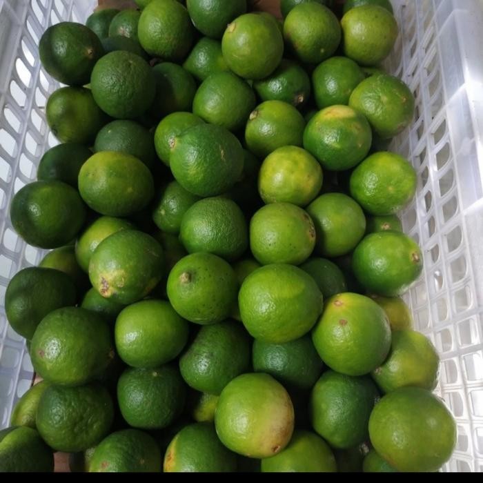 

Glx JERUK NIPIS 1 KG MURAH