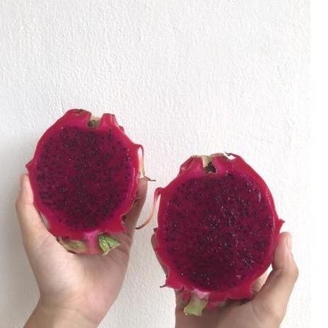 

Glx Buah Naga Merah Freshco 1 kg